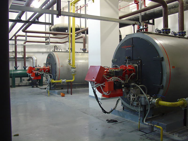 4T蒸汽鍋爐-力謳熱能設備（上海）有限公司